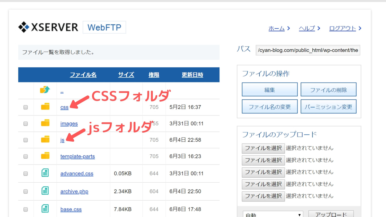 xserverのCSSフォルダとjsフォルダ