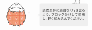 チャップアップ育毛剤を9ブロックに分けて塗布する