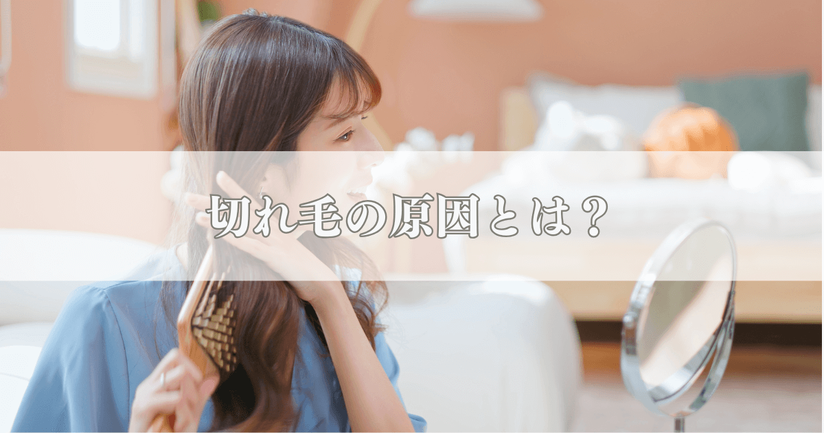 切れ毛の原因とは？