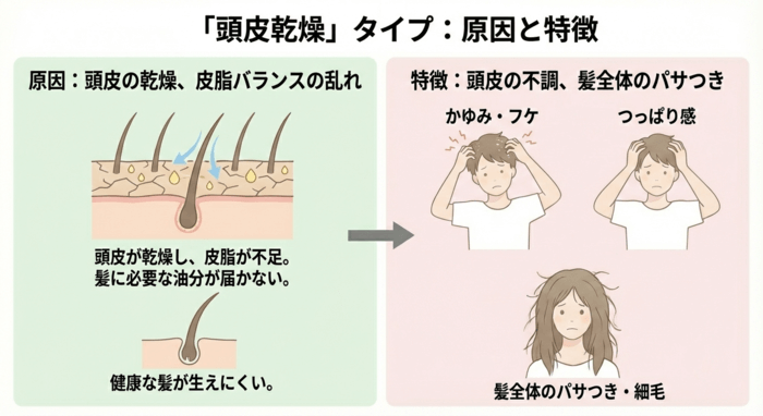 頭皮環境が悪く髪が乾燥しているタイプ