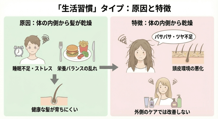 生活習慣の乱れから髪が乾燥しているタイプ
