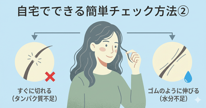 髪に何が不足しているか自宅でできる簡単チェック方法②